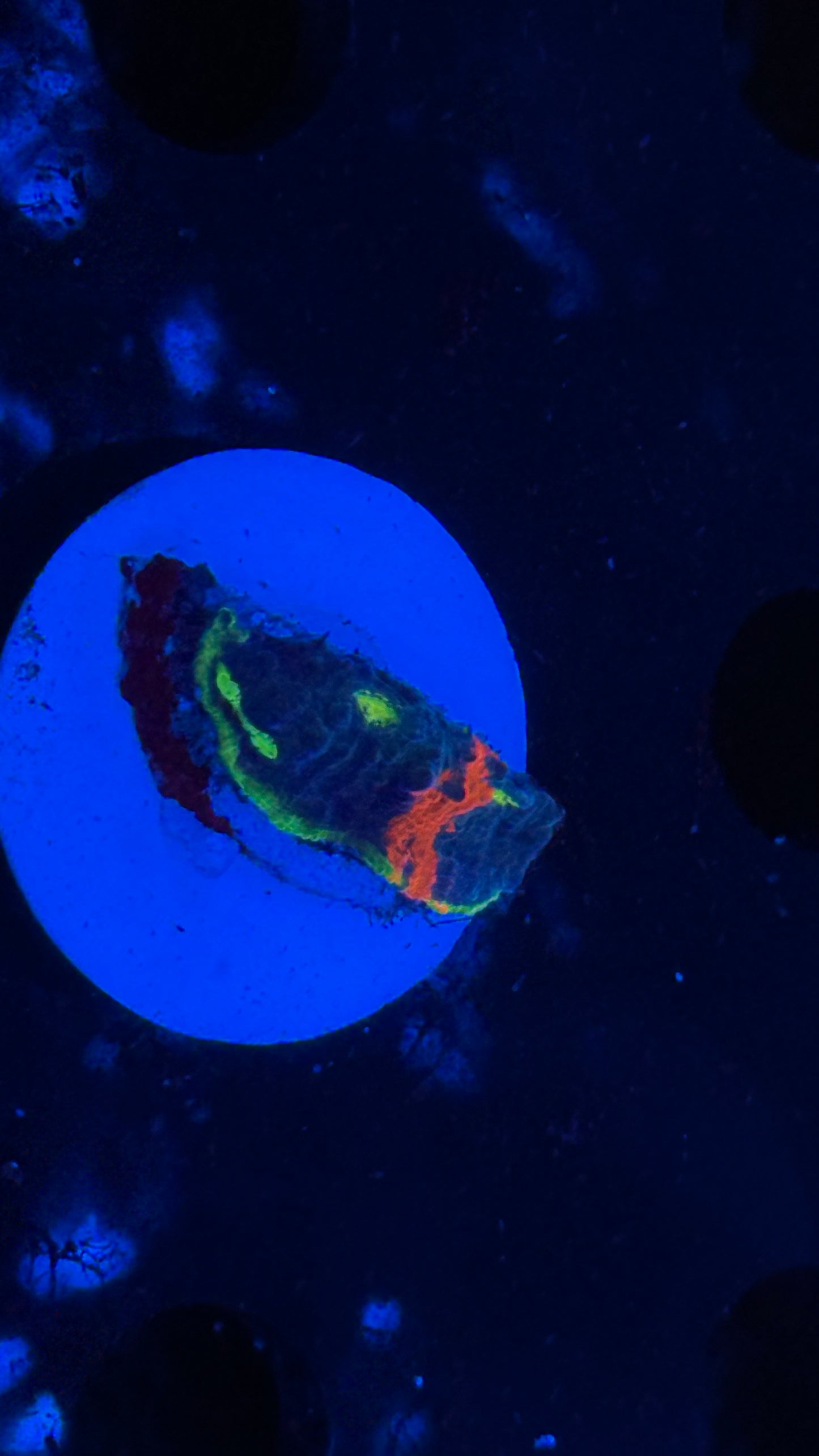 Flaming Bugatti Chalice