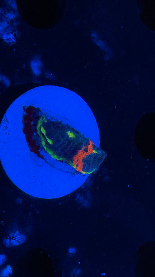 Flaming Bugatti Chalice